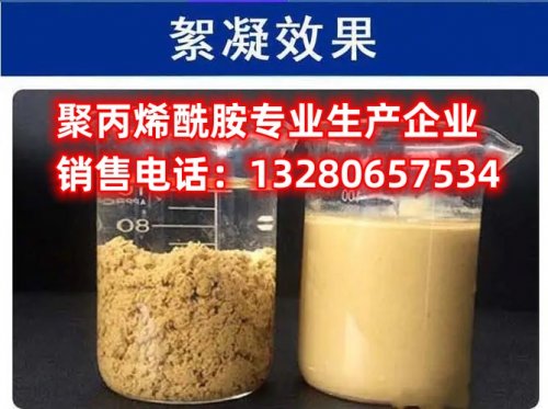 洗沙聚丙烯酰胺：环保水处理技术的新选择