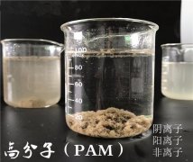 阳离子聚丙烯酰胺的特点及作用