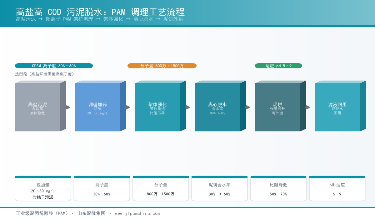 高盐高COD污泥PAM调理工艺流程与加药点示意