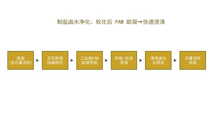聚丙烯酰胺（PAM）在制盐卤水澄清与石膏泥砂沉降中的应用（工业级PAM）