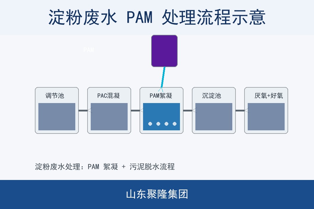 淀粉废水处理流程中 PAM 絮凝与污泥脱水作用示意图